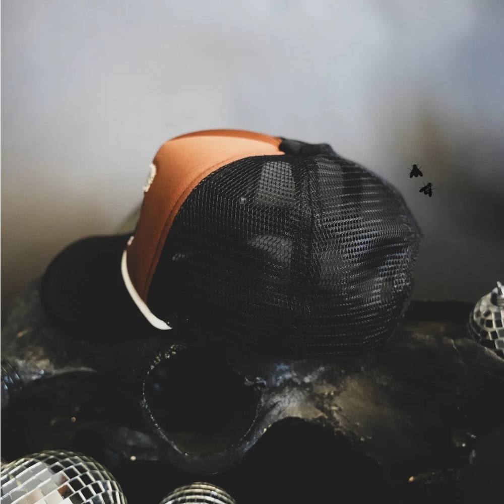 Ranch Style Brown and Black Hat - Picture 3 of 3